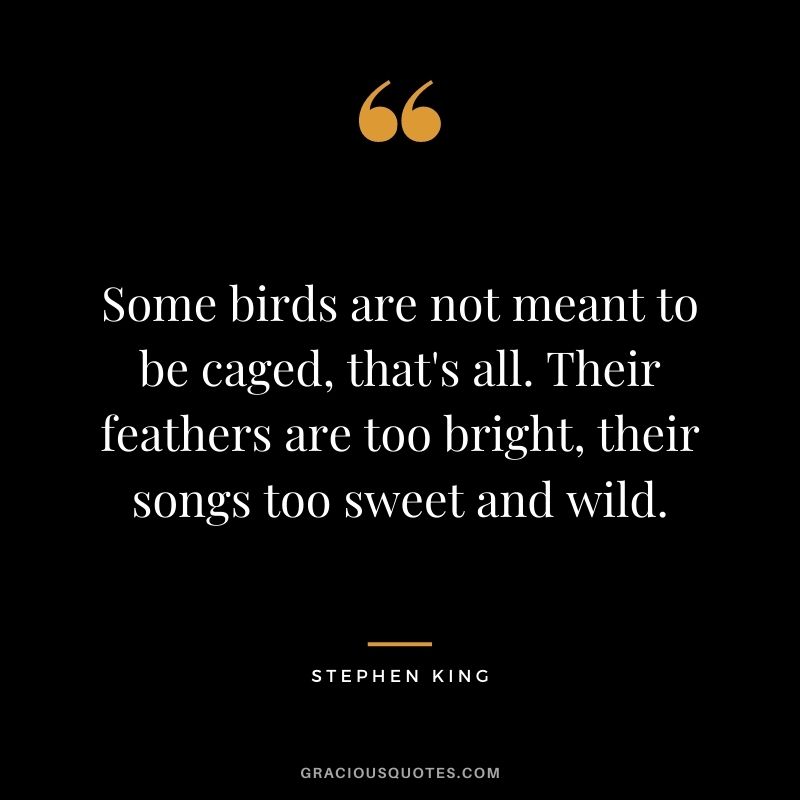 Some birds are not meant to be caged, that's all. Their feathers are too bright, their songs too sweet and wild. 