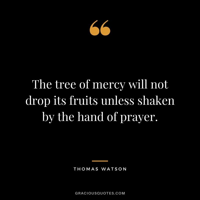 The tree of mercy will not drop its fruits unless shaken by the hand of prayer. - Thomas Watson