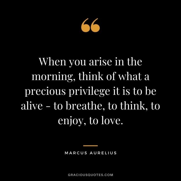 Top 60 Marcus Aurelius Quotes on Life (LOVE)