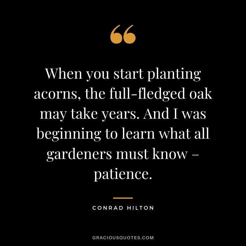 When you start planting acorns, the full-fledged oak may take years. And I was beginning to learn what all gardeners must know – patience.