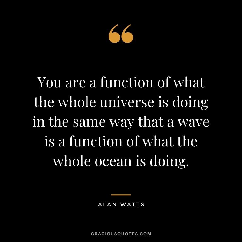 You are a function of what the whole universe is doing in the same way that a wave is a function of what the whole ocean is doing.