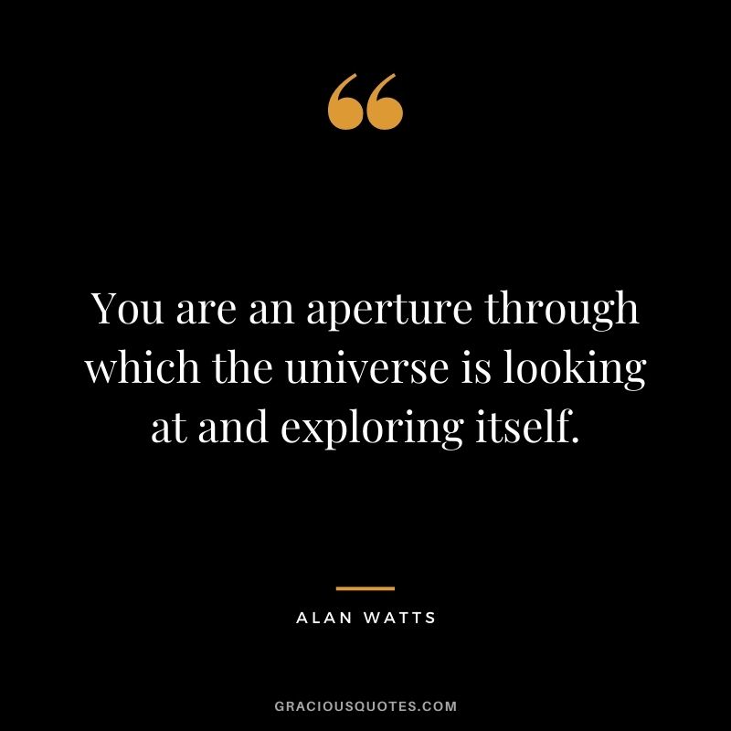 You are an aperture through which the universe is looking at and exploring itself.