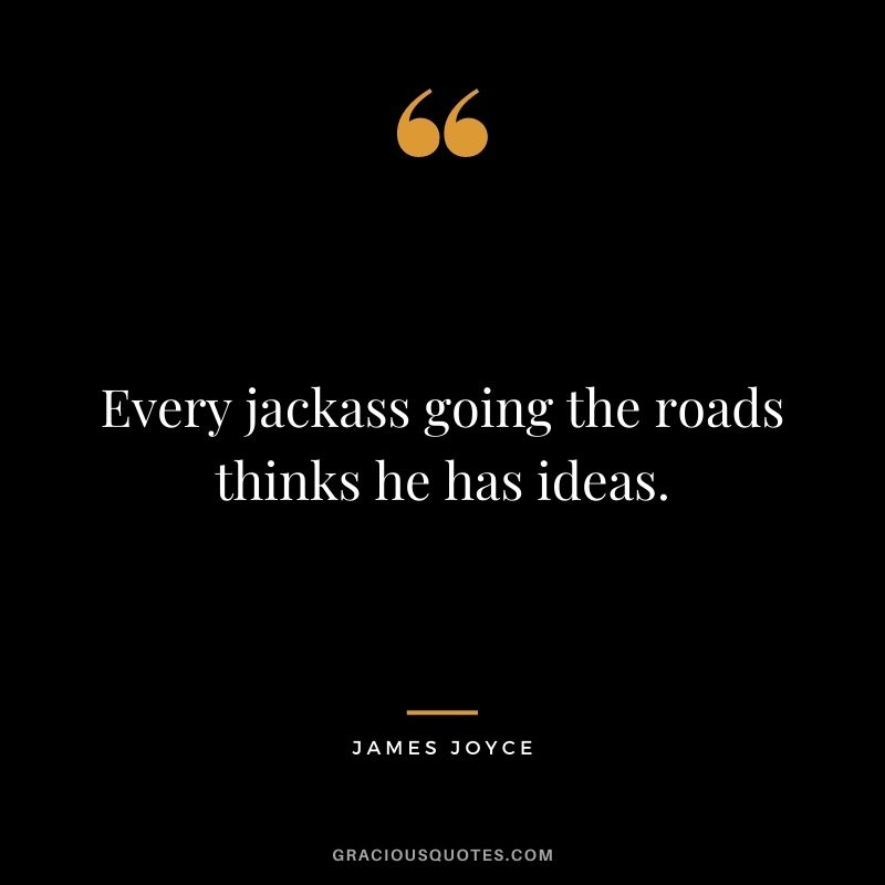Every jackass going the roads thinks he has ideas.