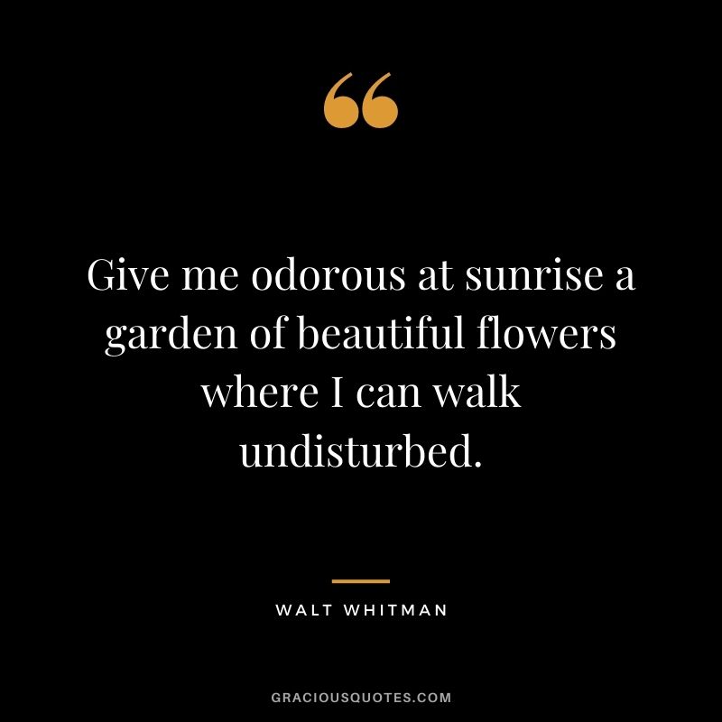 Give me odorous at sunrise a garden of beautiful flowers where I can walk undisturbed.