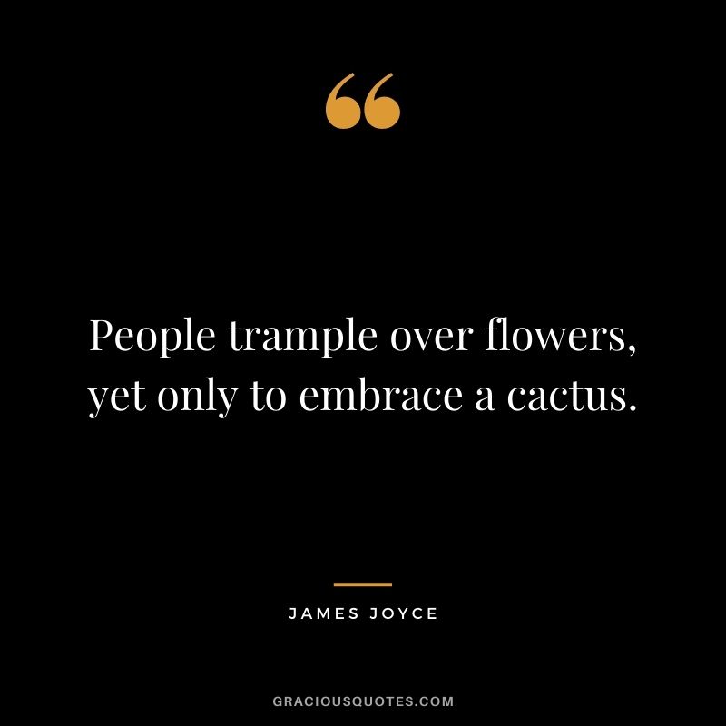 People trample over flowers, yet only to embrace a cactus.