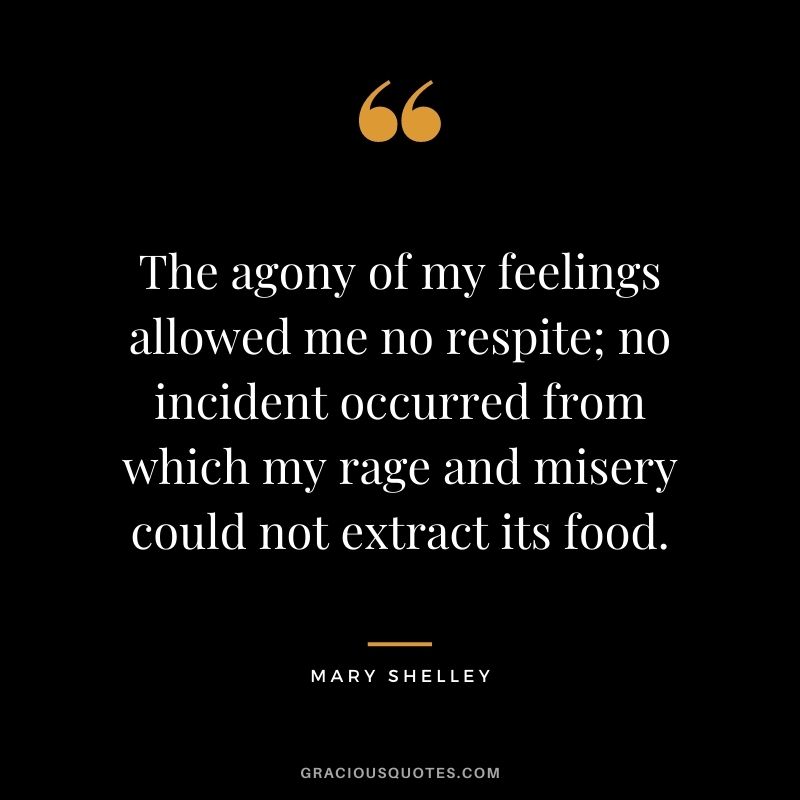 The agony of my feelings allowed me no respite; no incident occurred from which my rage and misery could not extract its food.