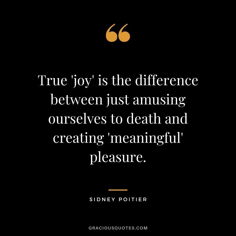 True 'joy' is the difference between just amusing ourselves to death and creating 'meaningful' pleasure.