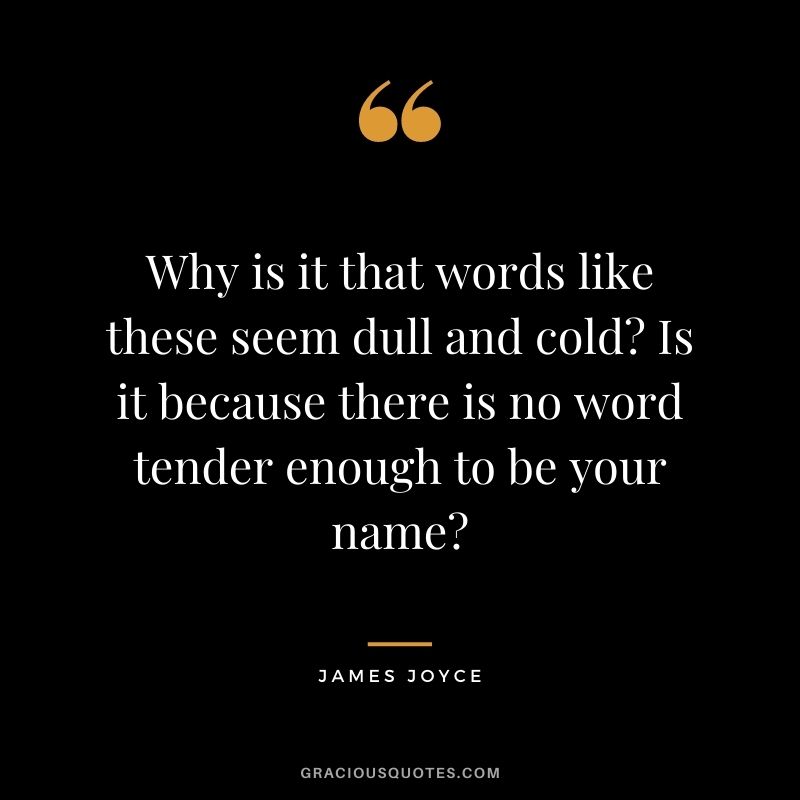 Why is it that words like these seem dull and cold? Is it because there is no word tender enough to be your name?