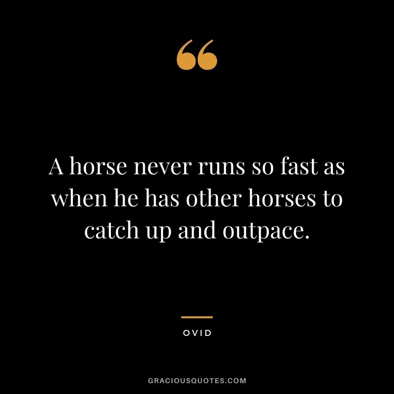 A horse never runs so fast as when he has other horses to catch up and outpace. - Ovid