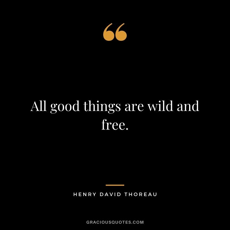 All good things are wild and free. ― Henry David Thoreau