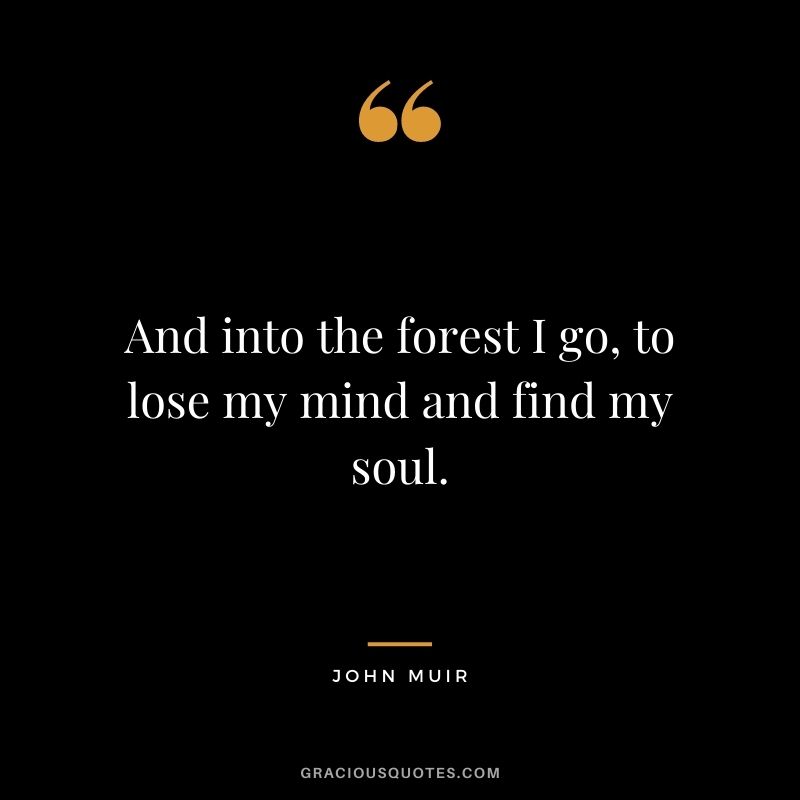 And into the forest I go, to lose my mind and find my soul. — John Muir
