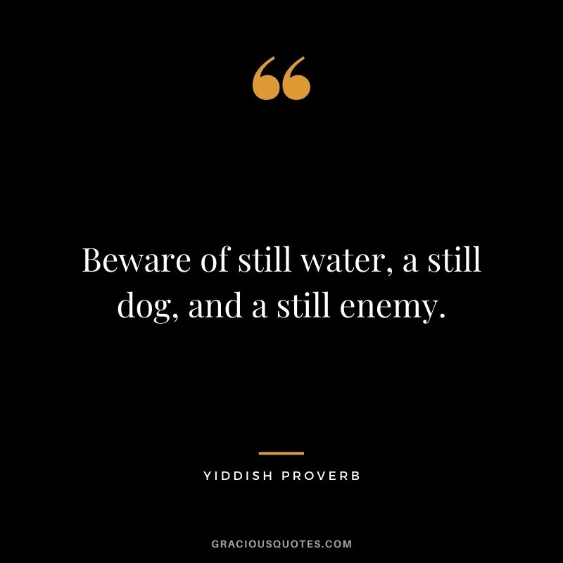 Beware of still water, a still dog, and a still enemy.