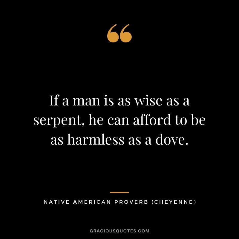 If a man is as wise as a serpent, he can afford to be as harmless as a dove. – Cheyenne