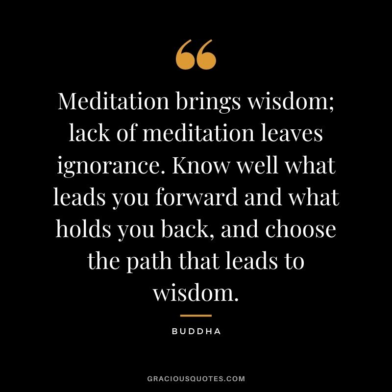 Meditation brings wisdom; lack of meditation leaves ignorance. Know well what leads you forward and what holds you back, and choose the path that leads to wisdom. ― Buddha