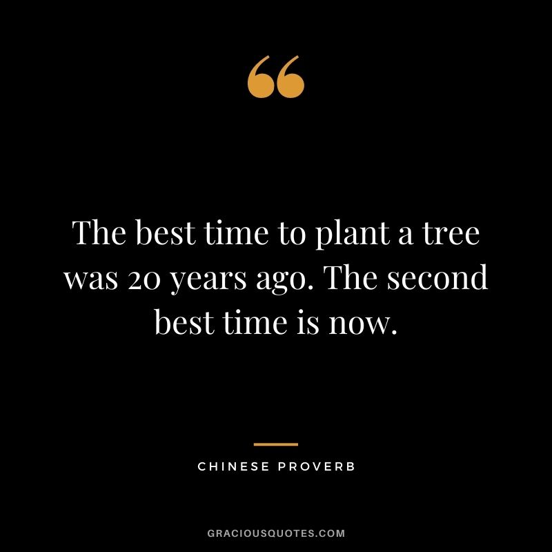 The best time to plant a tree was 20 years ago. The second best time is now. - Chinese Proverb