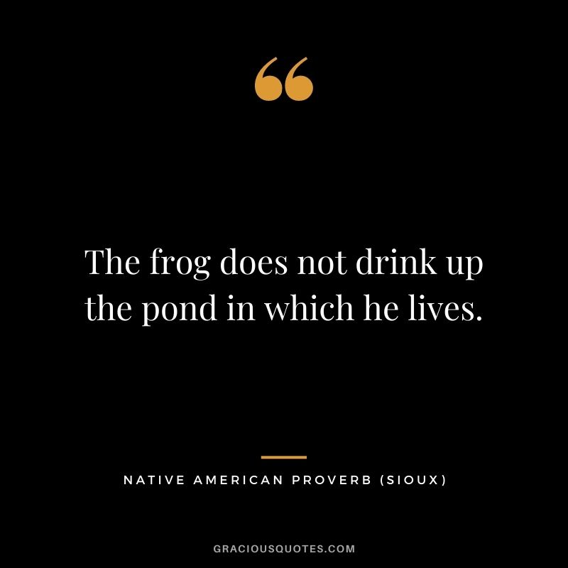 The frog does not drink up the pond in which he lives. – Sioux