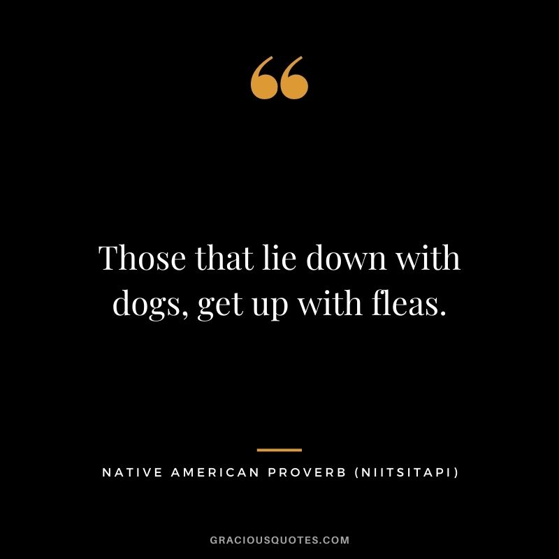 Those that lie down with dogs, get up with fleas. - Niitsitapi