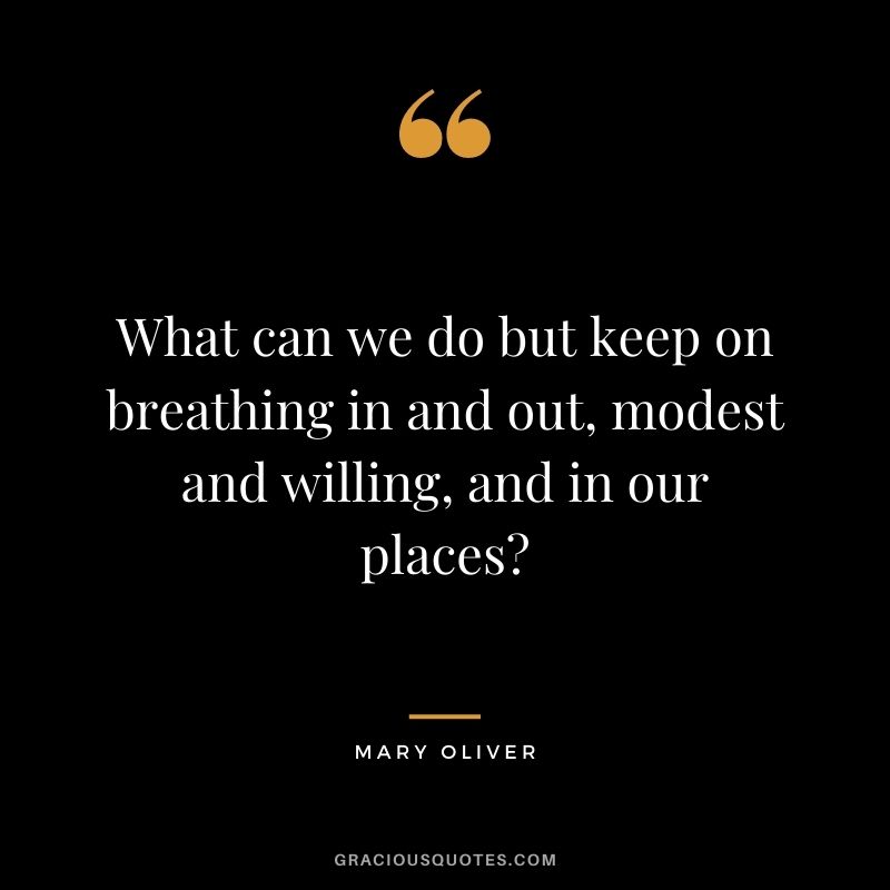 What can we do but keep on breathing in and out, modest and willing, and in our places – Mary Oliver