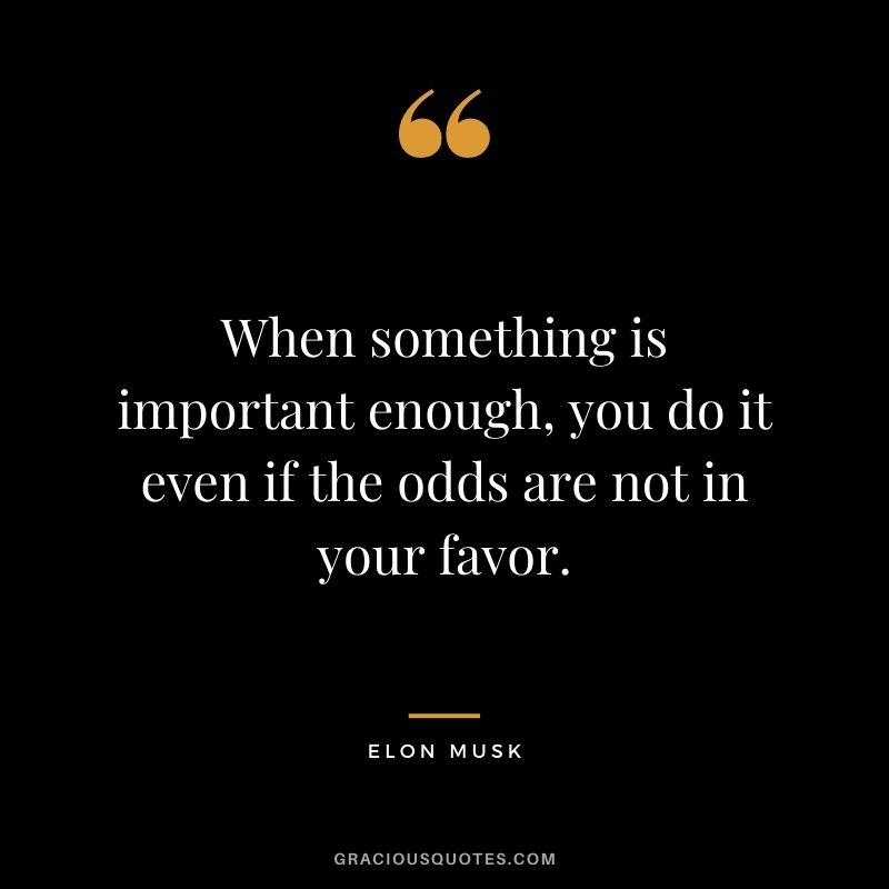When something is important enough, you do it even if the odds are not in your favor. - Elon Musk