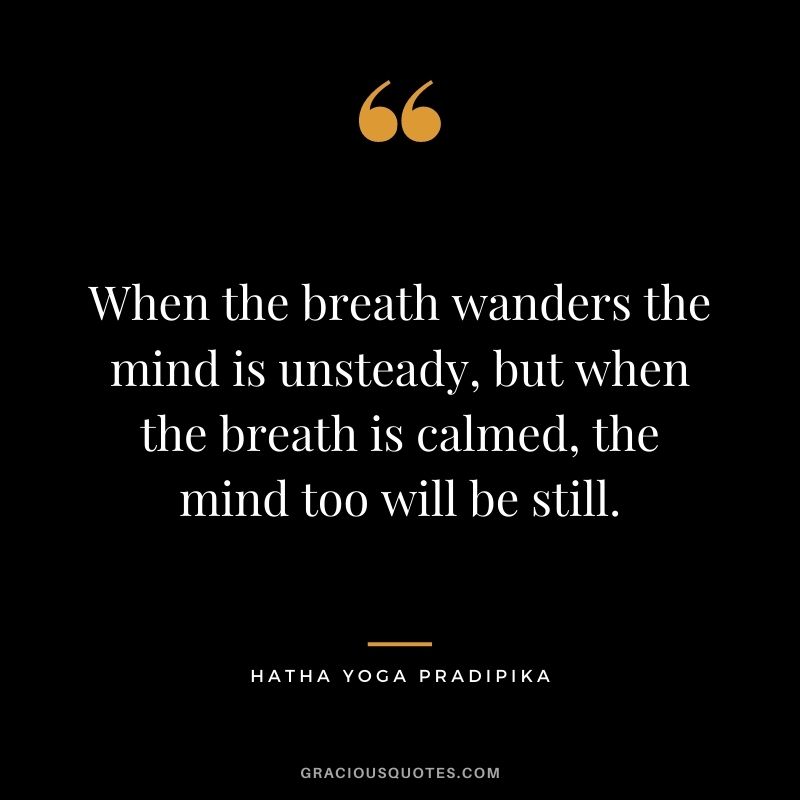 When the breath wanders the mind is unsteady, but when the breath is calmed, the mind too will be still. – Hatha Yoga Pradipika