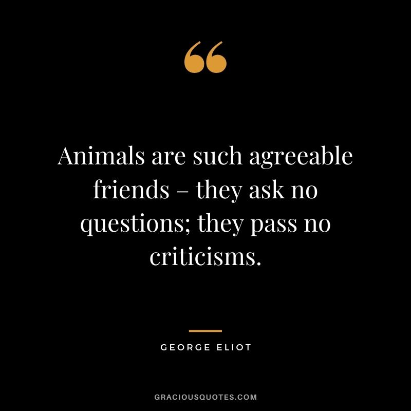 Animals are such agreeable friends – they ask no questions; they pass no criticisms.