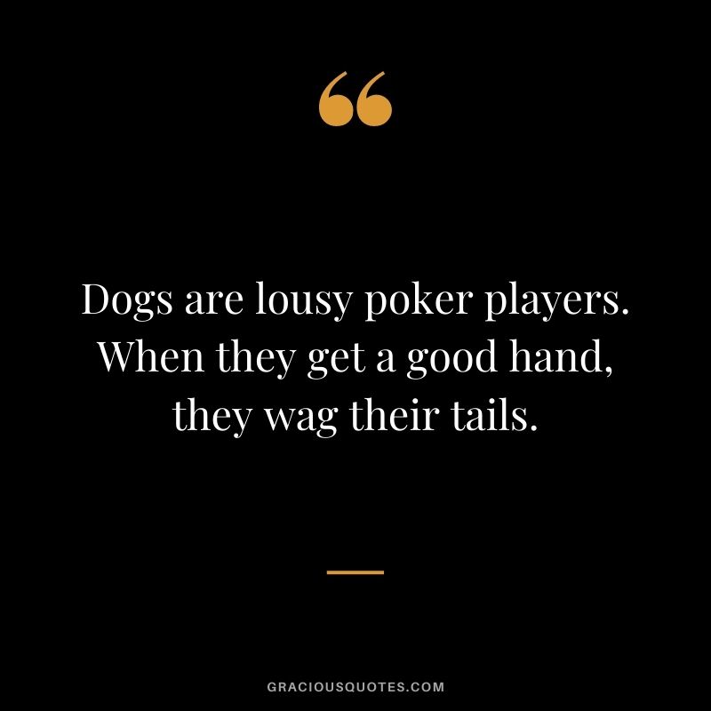 Dogs are lousy poker players. When they get a good hand, they wag their tails.