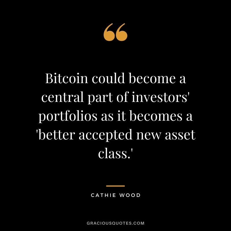 Bitcoin could become a central part of investors' portfolios as it becomes a 'better accepted new asset class.'