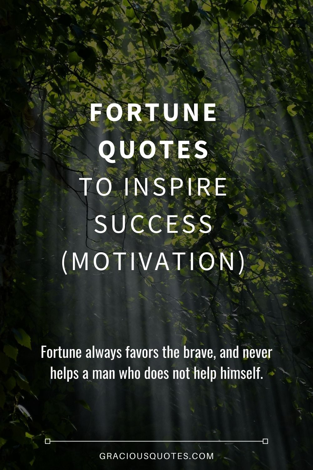 Fortune Quotes to Inspire Success (MOTIVATION) - Gracious Quotes