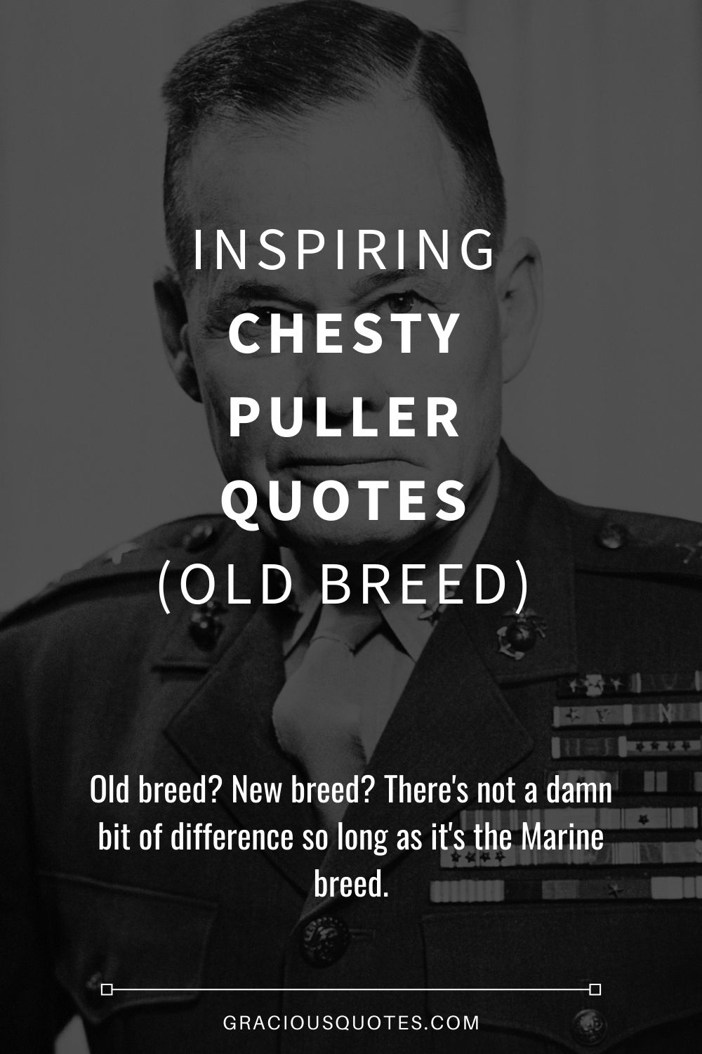 Inspiring Chesty Puller Quotes (OLD BREED) - Gracious Quotes
