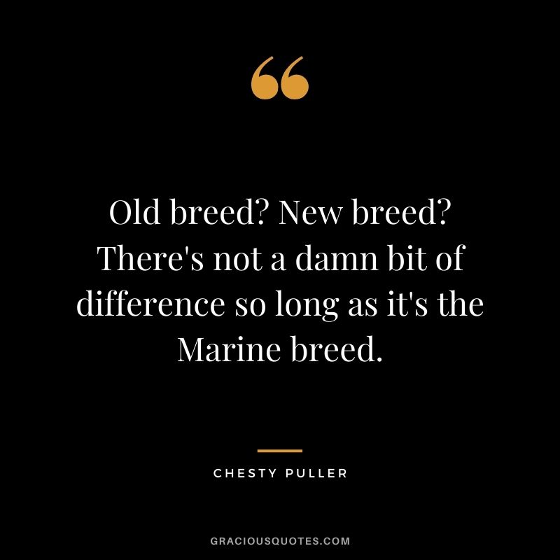 Old breed New breed There's not a damn bit of difference so long as it's the Marine breed.