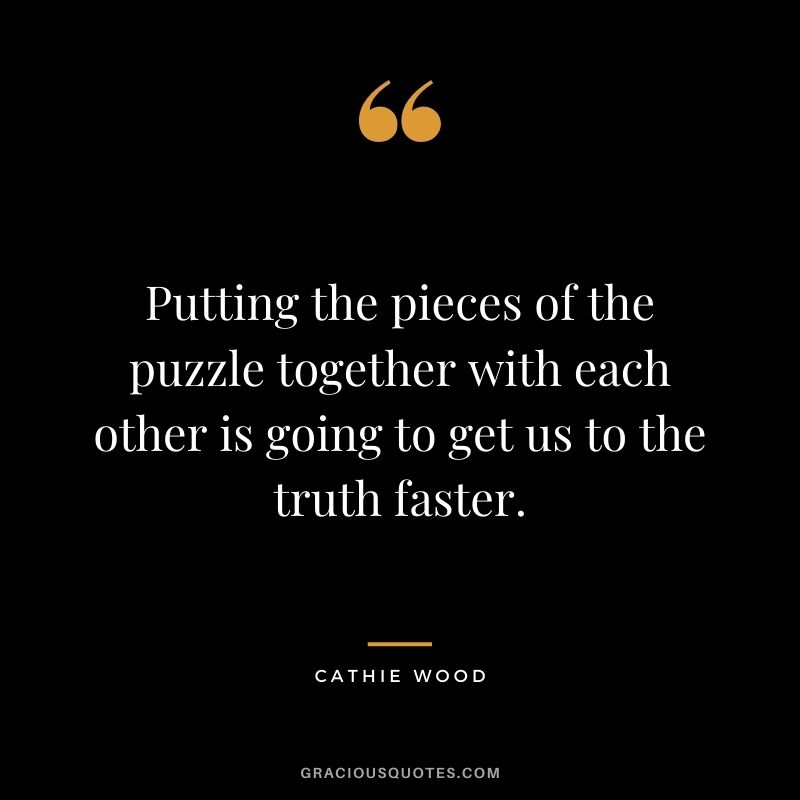 Putting the pieces of the puzzle together with each other is going to get us to the truth faster.