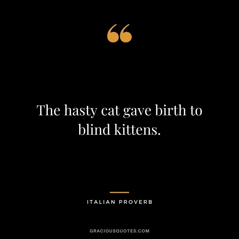 The hasty cat gave birth to blind kittens.