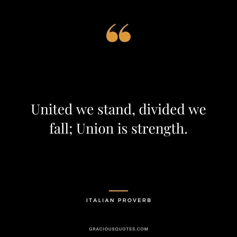 United we stand, divided we fall; Union is strength.