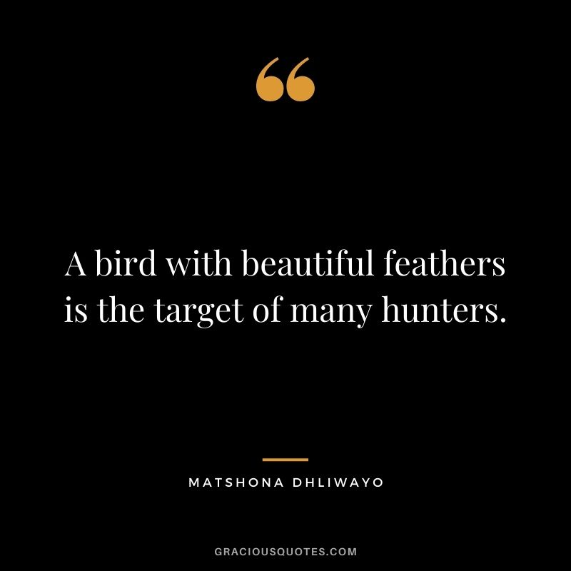 A bird with beautiful feathers is the target of many hunters.