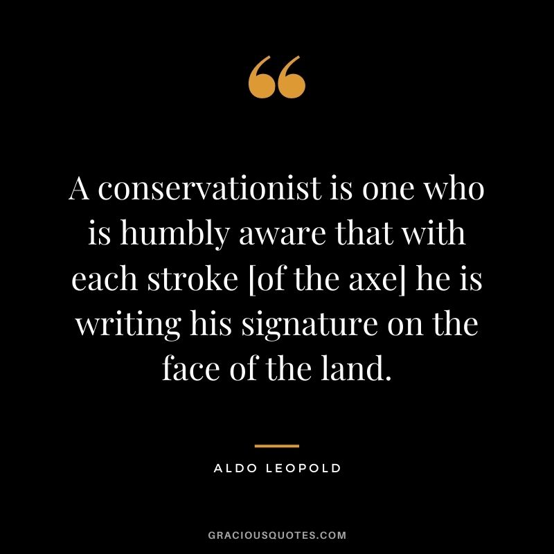 A conservationist is one who is humbly aware that with each stroke [of the axe] he is writing his signature on the face of the land.