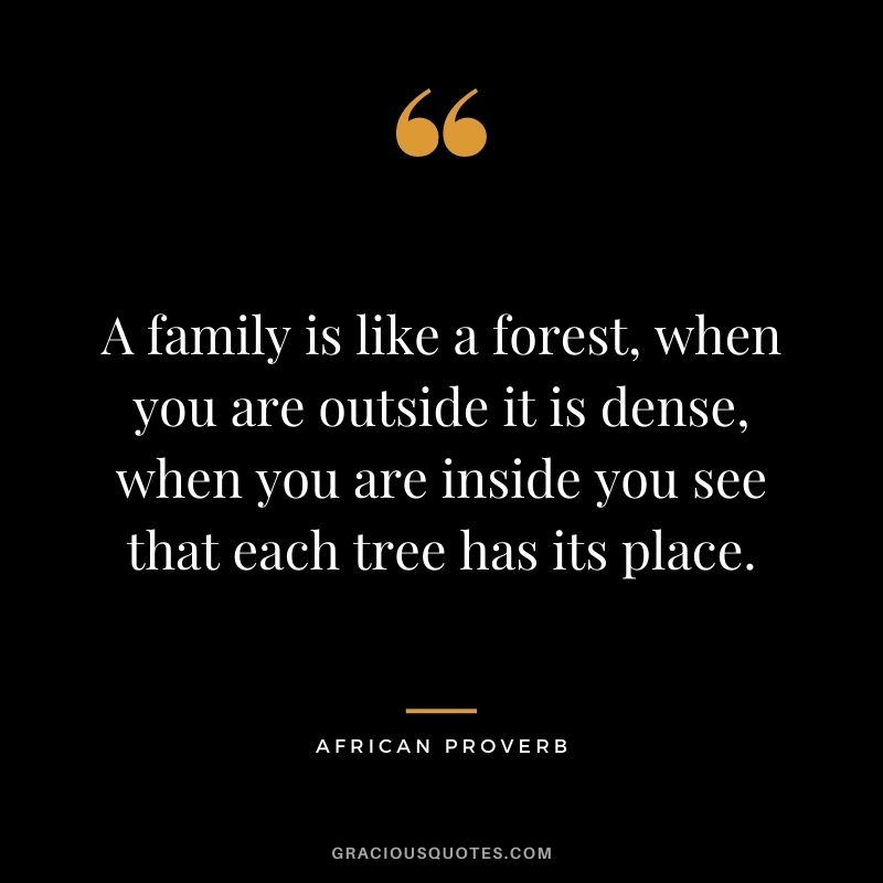 A family is like a forest, when you are outside it is dense, when you are inside you see that each tree has its place.