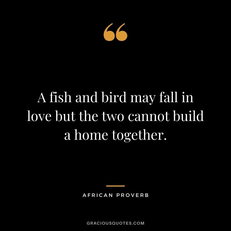 A fish and bird may fall in love but the two cannot build a home together.