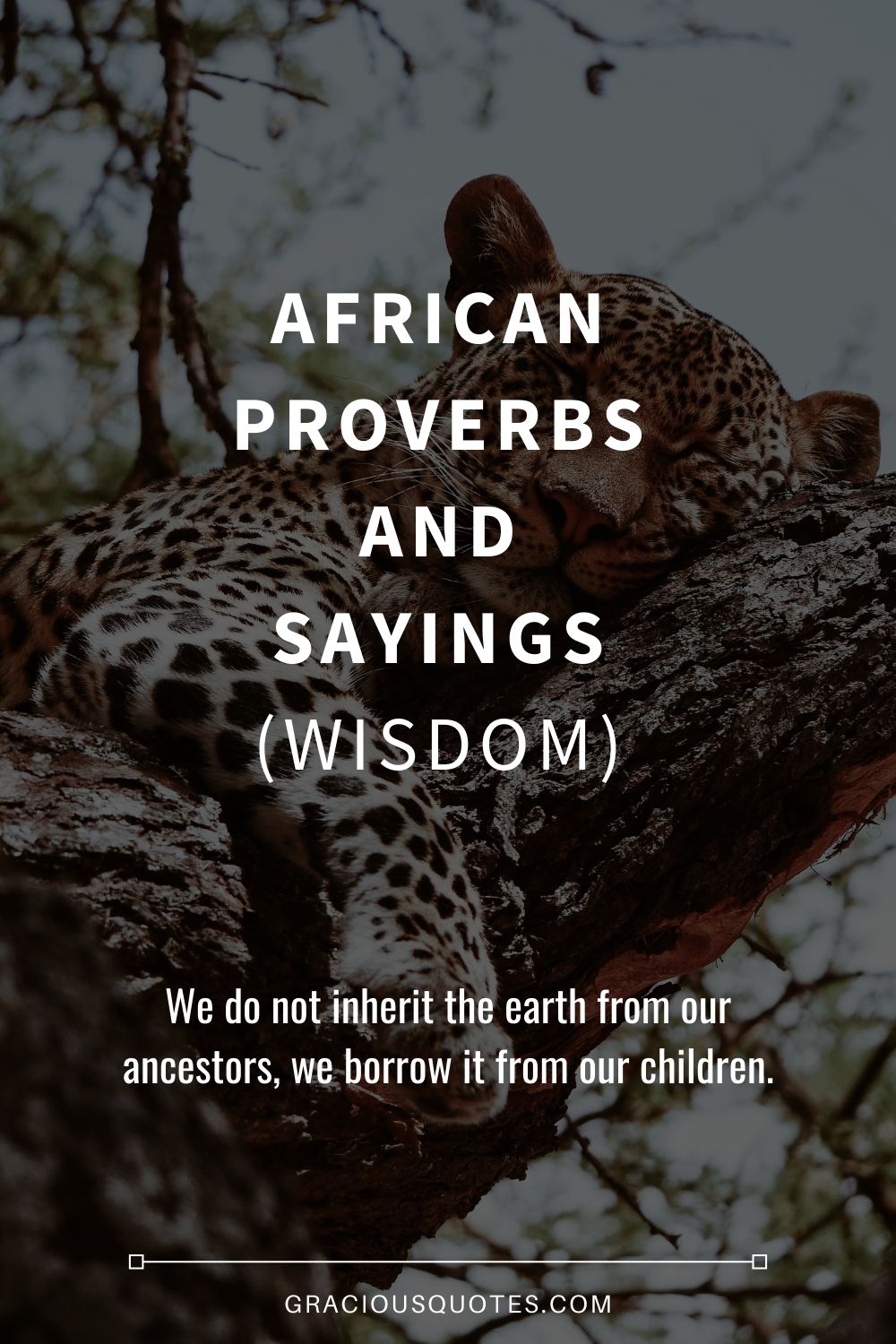 African Proverbs and Sayings (WISDOM) - Gracious Quotes