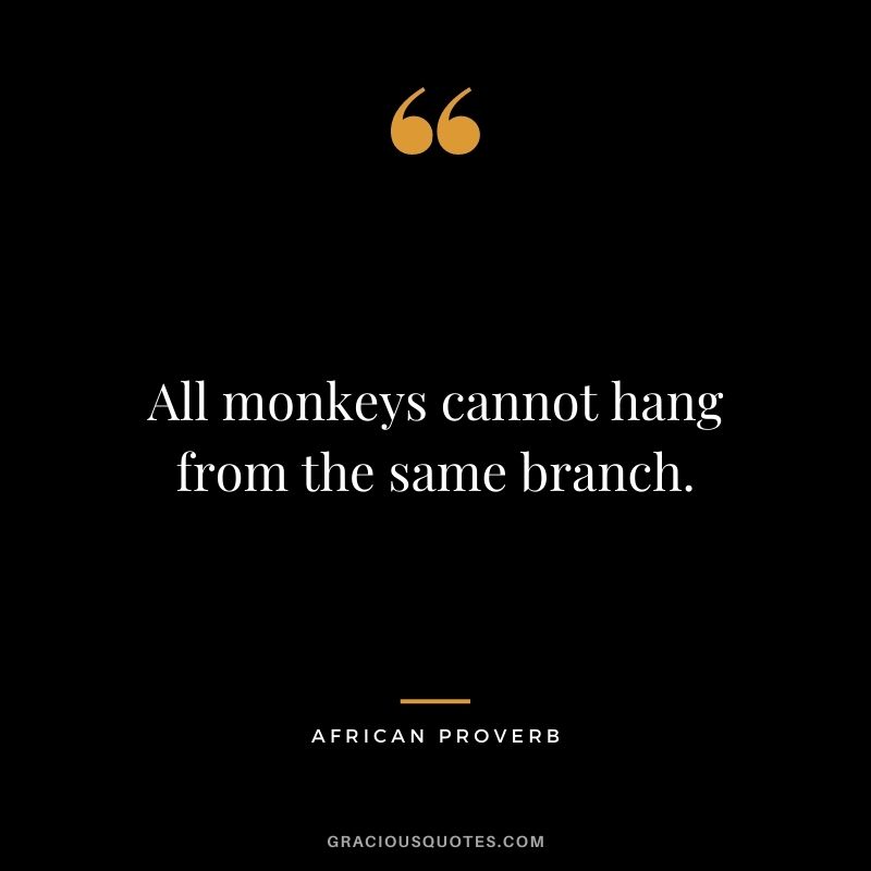 All monkeys cannot hang from the same branch.