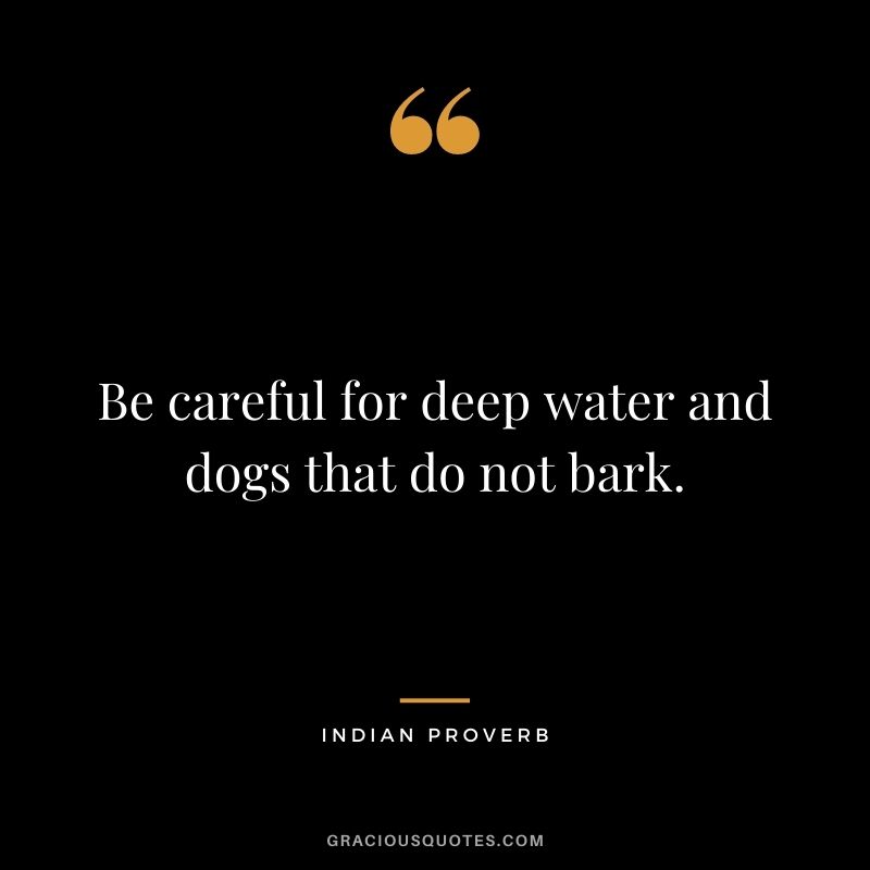 Be careful for deep water and dogs that do not bark.
