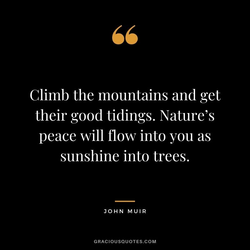 Climb the mountains and get their good tidings. Nature’s peace will flow into you as sunshine into trees.