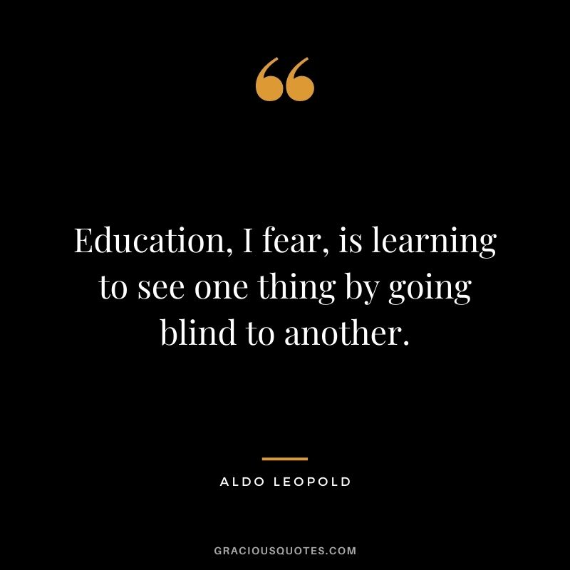 Education, I fear, is learning to see one thing by going blind to another.