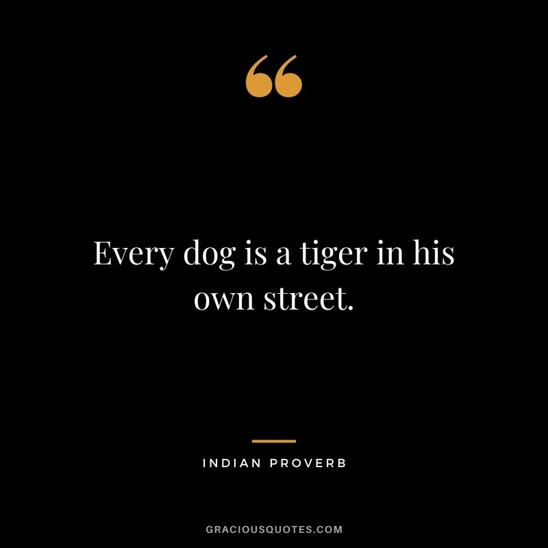 Every dog is a tiger in his own street.