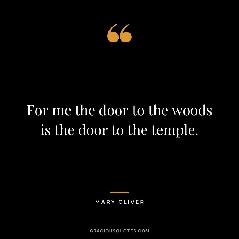 For me the door to the woods is the door to the temple.