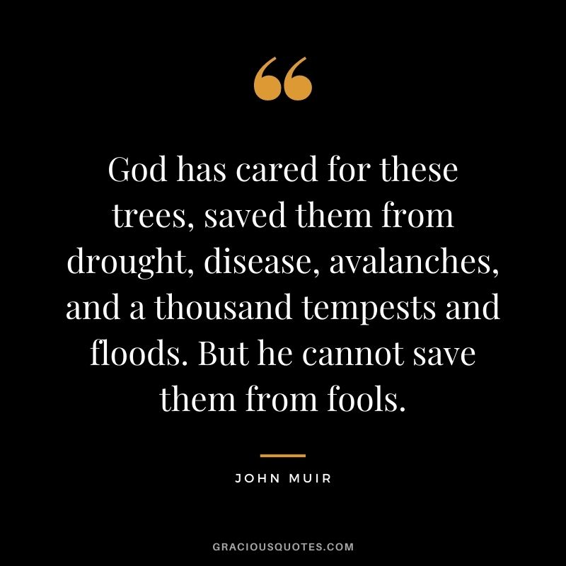 God has cared for these trees, saved them from drought, disease, avalanches, and a thousand tempests and floods. But he cannot save them from fools.