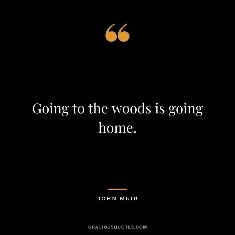 Going to the woods is going home.