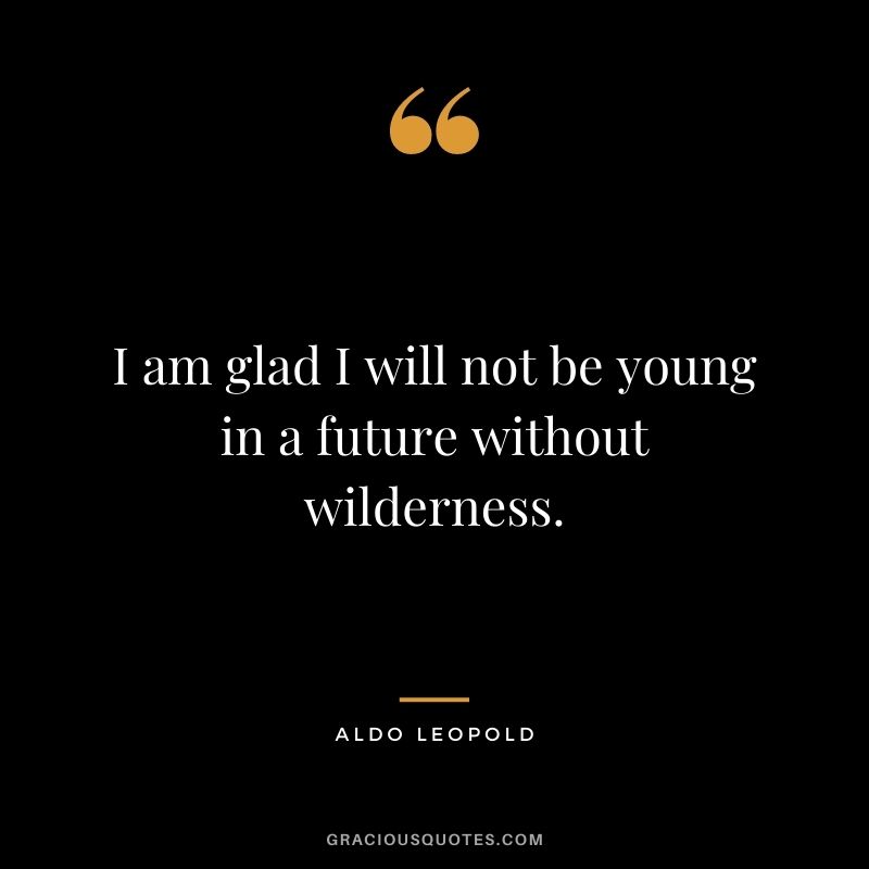 I am glad I will not be young in a future without wilderness.