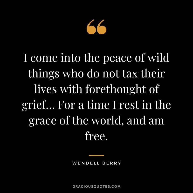 I come into the peace of wild things who do not tax their lives with forethought of grief… For a time I rest in the grace of the world, and am free.