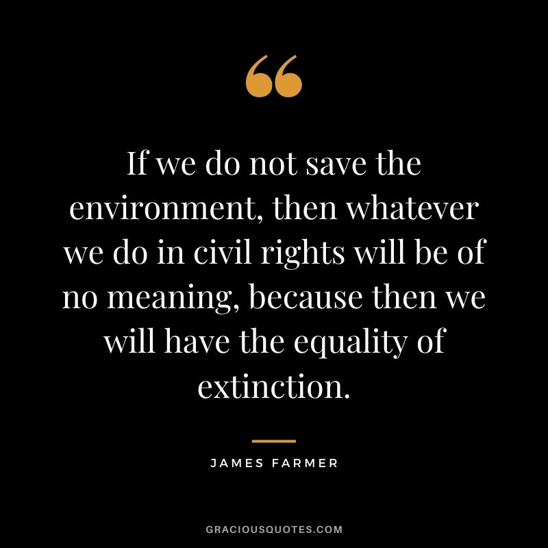 If we do not save the environment, then whatever we do in civil rights will be of no meaning, because then we will have the equality of extinction.