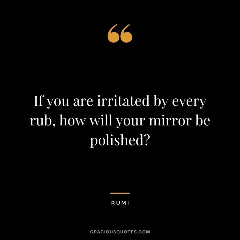 If you are irritated by every rub, how will your mirror be polished